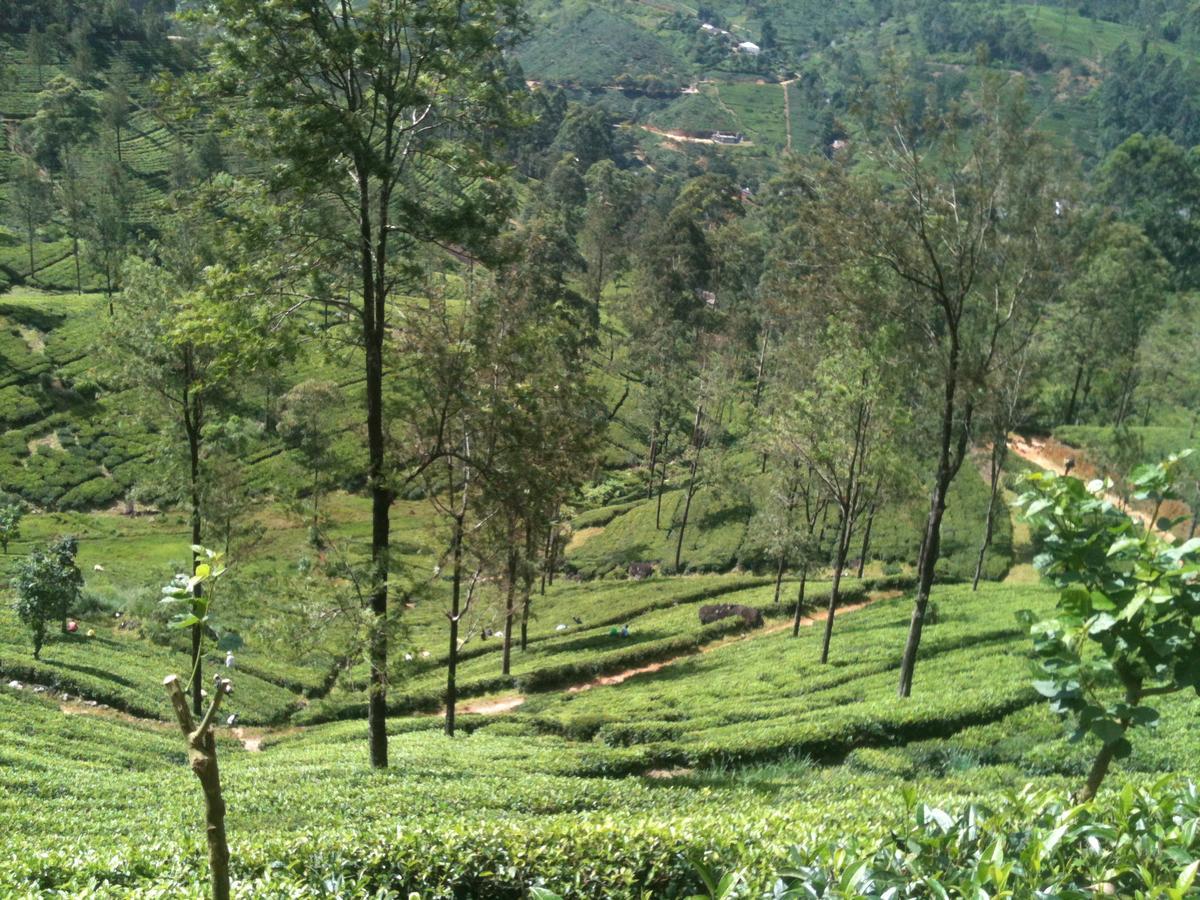 Subash Hotel Nallathanniya Extérieur photo